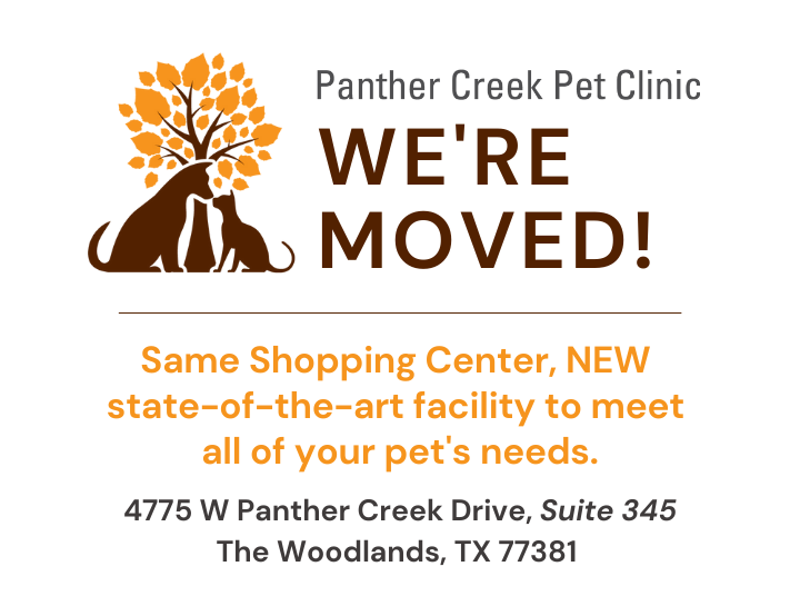 We're Moved!